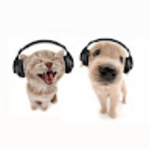 Meet your Posher, Ileen